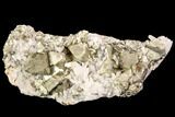 Gleaming Pyrite & Quartz Crystal Association - Peru #107426-1